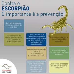 escorpião-prevenção-site.jpg