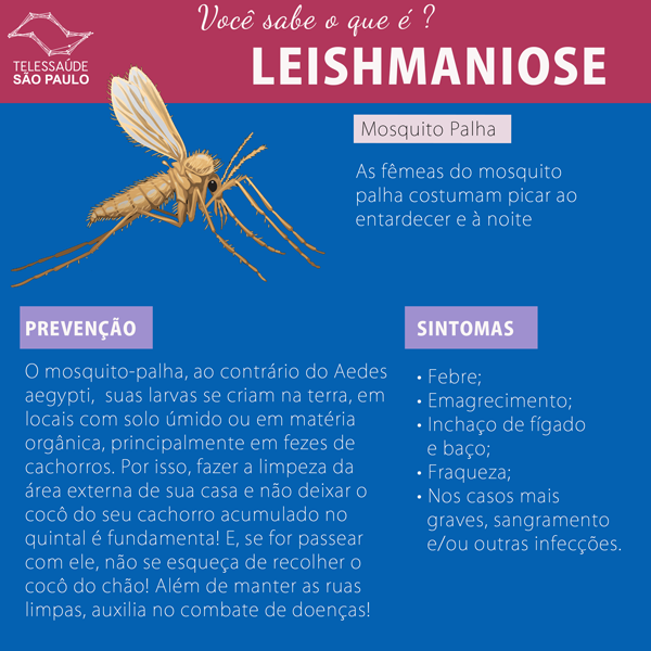 leishmaniose-site.png